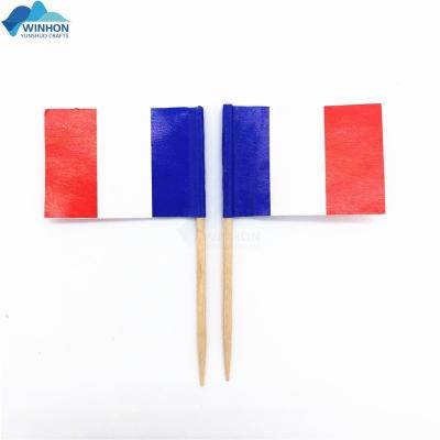 China National Hotel and Resort Country France Flags Toothpick Flags Toothpicks for Cake Cup Toppers Cocktail Fruit Toothpicks Decorations for sale