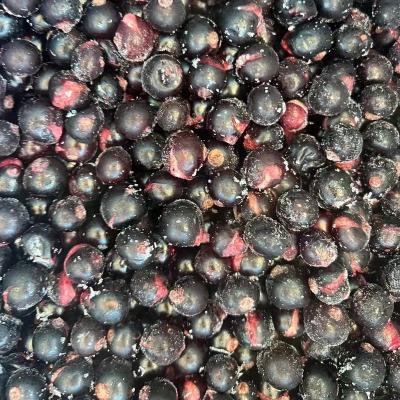 China FC-2209 Foods Ribes 10kg B Grade Deep Ripe Ripe Ripe Ripe Ripe Ripe Nigrum Ripe Ripe Whole Berries Bulk Fresh Frozen Price for sale