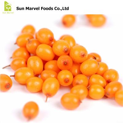 China Wild FROZEN Frozen Sea Buckthorn Berries Bulk Purchase FS-2222 Price / Organic Grown Packet for sale