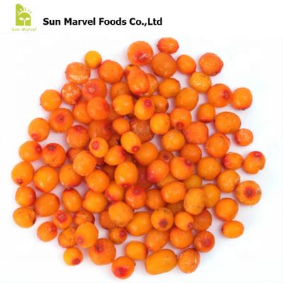 China FS-2220 IQF Sea Buckthorn Berries FROZEN Bulk Organic Wild/Cultivated for sale