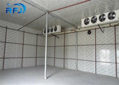 China Walking Deep Freezer Commercial Cold Room 380V/3P/50Hz Cooler For Sea Food Te koop