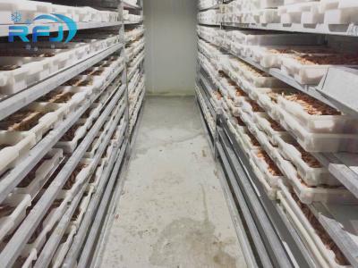 China Fresh Tuna Small Tunnel Plate Blast Walk In Freezer Industrial Seafood Iqf Cold Contact Panel Te koop