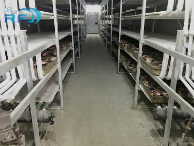 China Heat Insulation Industrial Cold Room -60~-0 Degree Temp For Meat / Fish Storage Te koop