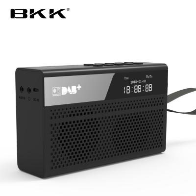 China New DAB radio Bluetooth DAB+Radio (D1) wireless speaker for sale