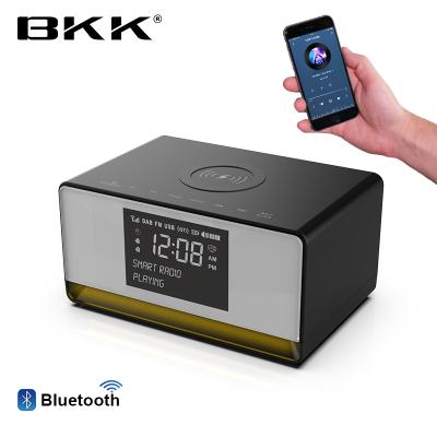 China DAB New Arrival DAB Radio Bluetooth Speaker (J30DAB) for sale