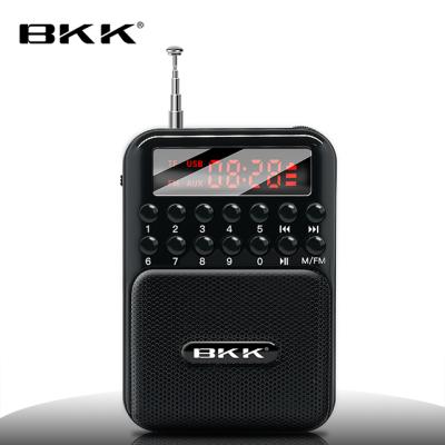 China Hot Selling Mini Digital Display FM Radio With U Disk (B872) for sale