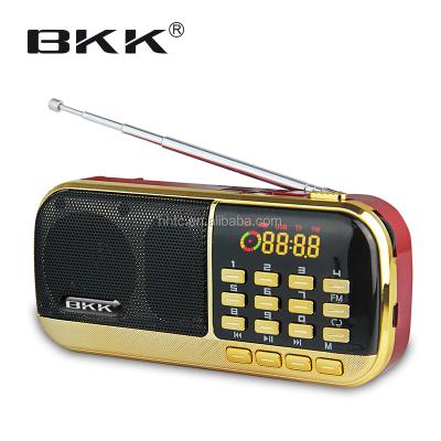 China Portable Hot Selling Portable MP3 Player with FM Radio (B871) for sale