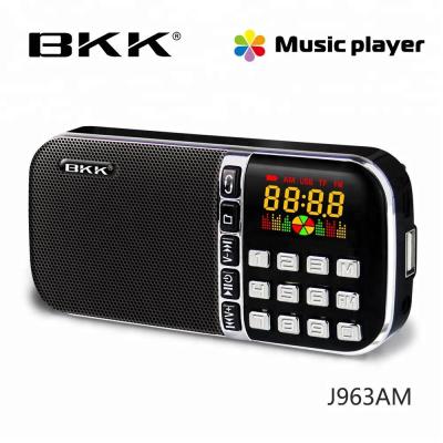 China AM FM USB SD TF Portable Radio Digital AM FM Portable Pocket Radio with USB TF for sale