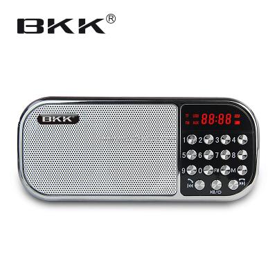 China PORTABLE Handheld Radio, Clear Tone Quality Radio (Q22BT) for sale