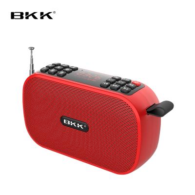 China BT Digital Logo Portable Mini Wireless Bluetooth Radio Custom Speaker With U Disk (J59) for sale