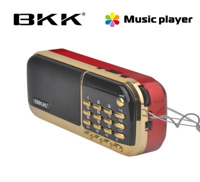 China Portable Music Player FM Radio with USB Charging Mini Speaker (B836S) for sale