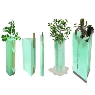 China Vine Corflute Corrugated Plastic Tree Guards Twin Wall for sale