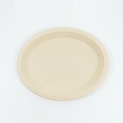 China Sustainable Household Dishes And Cutlery Eco Eco Food Biodegradable Plate for sale