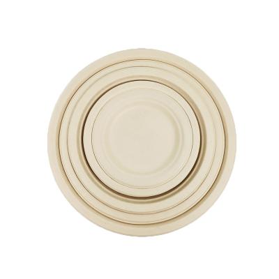 China 9 inch viable and 7 inch heavy duty paper plates, 100% BAGASSE (sugar cane fiber) for sale