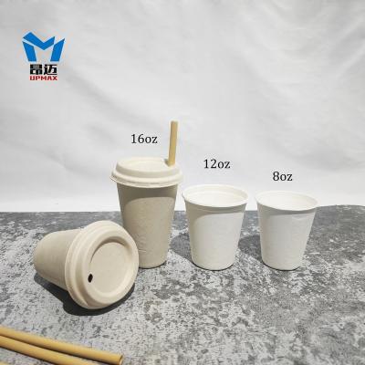 China 8oz 12oz 16oz Sustainable Disposable Sugar Cane Bagasse Coffee Cup Lid With Lid Insertable Straw for sale