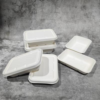 China Biodegradable supermarket sugar cane bagasse 500ml 600ml 750ml 800ml lunch box takeaway container for sale