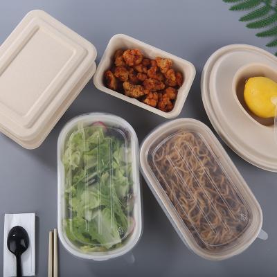 China Sustainable 100% Disposable Food Boxes To Go Squeeze 3 Compartments Roll Clamshell Takeaway Food Containers for sale