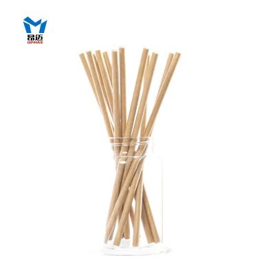 China Minimalist Biodegradable Drinking Straws, Non-soggy, bland, BPA-free, compostable alternative to straws to plastic straws for sale