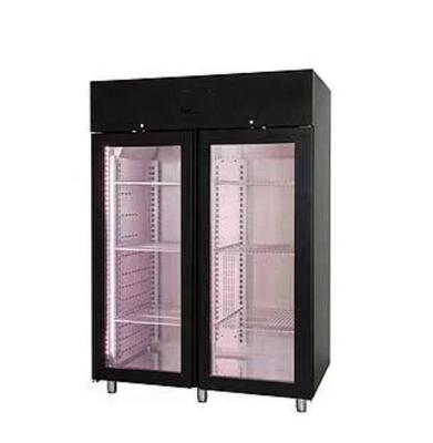 China Dry Single-temperature Beef Steak Ager Display Refrigerator Constant Temperature And Humidity SHOWCASE for sale