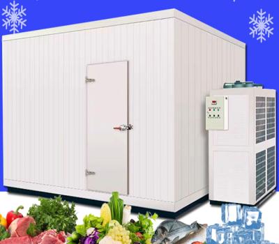 China premium Double-temperature factory cold room for frozen beef/meat/chicken for sales for sale