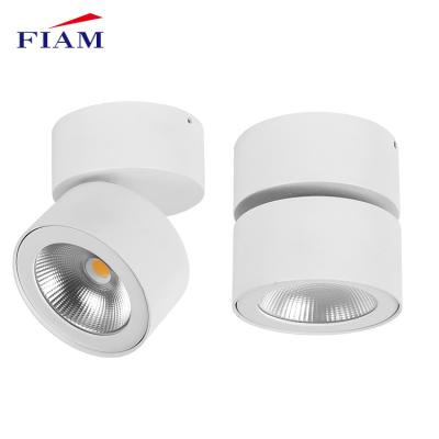 China Modern Professional Indoor Anti Glare Cob 10w 20w 30w 40w 3cct Cast Aluminum Smd Ceiling Matrix Recessed Led Downlight for sale