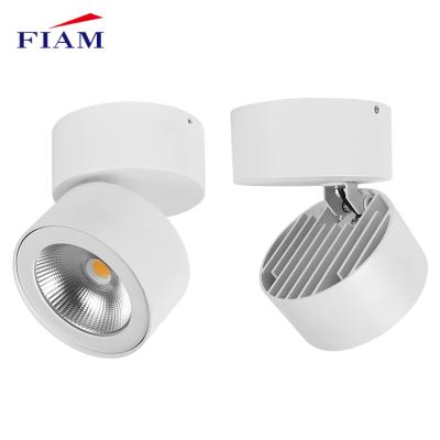 China Modern adjustable downlight indoor outdoor mounted cob ceiling 10w 20w round led down light for sale