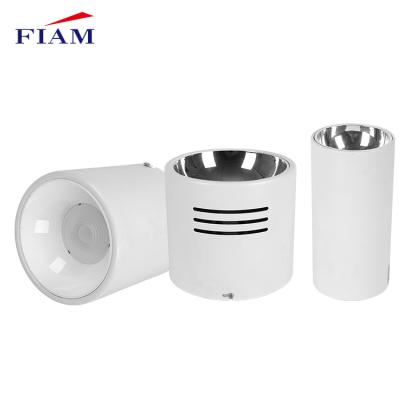 China FIAM Modern 240V Outdoor Mounted Warm White Aluminum 7w 20w 30w 50w Led Downlight for sale