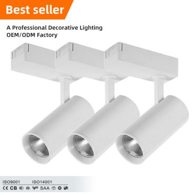 China Supplier Modern Indoor Frost 15w 20w 30w White Outdoor Lighting Mounted Cob Led Track Light for sale