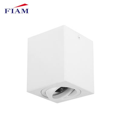 China Fiam Modern Aluminum Iron G5.3 Gu10 Ceiling Adjustable Indoor Housing Frame 50w Downlight for sale