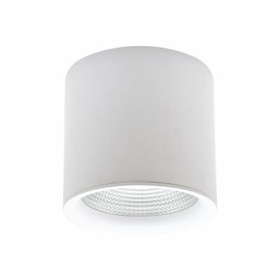 China Modern Flush Mount Down Mount Ceiling Light With COB LED Module 20W 30W 40W 50W CE SAA IECEE for sale