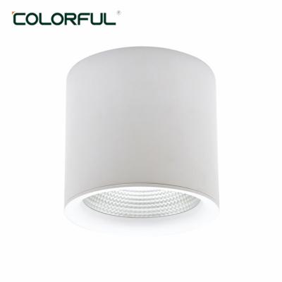 China Outdoor Stand 20W 30W 40W 50W Modern COB LED Down Light For Bus Station Train Corridor Airport for sale