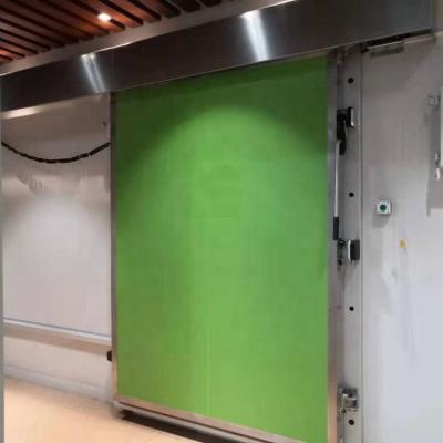 China Automatic Electric Cold Room/Freezer Room/Refrigeration Room Electric Sliding Door for Cold Storage Room for sale