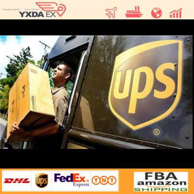 China China Express Hoists To Amazon FBA Global Express Rapid Transit To USA Service Hoists Freight Forwarder Air for sale