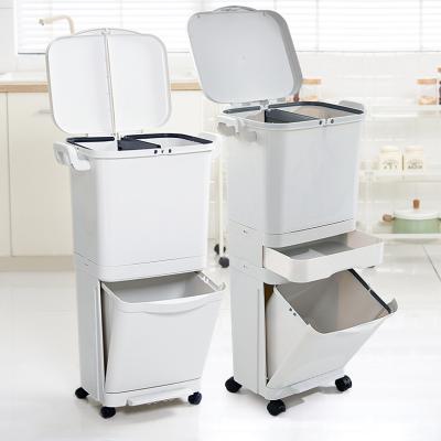 China Sustainable Classification 50L Plastic Waste Bin Kitchen Fun Luxury Bins Trash Can for sale