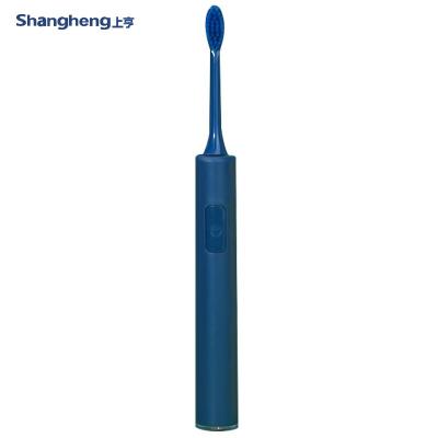 China 2020 USB Rechargeable Smart Teeth Whitening Led Sonic Care Ultra Soft Silk Electric Toothbrush Manufacturers In China for sale