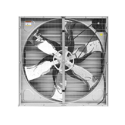 China High Quality Customized Hotels Factory Outlet Negative Pressure Wall Mounted Fan For Household Food Growing for sale