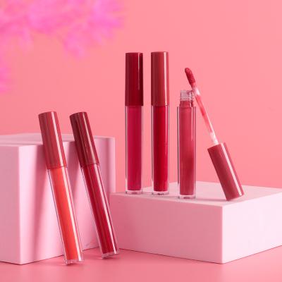 China Waterproof Make Your Own Colors And Customized Lip Gloss Tube Private Label Liquid Lip Gloss for sale