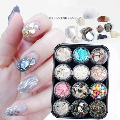 China Ultra-thin Natural Abalone Slice Fragments Nail Decoration 12 Color Nail Jewelry Nail Set Mixed Japanese Shell Pieces Nail Decoration for sale