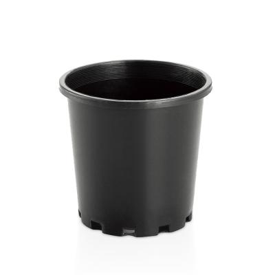 China Modern wholesale small black plastic pots for nursery plants for sale