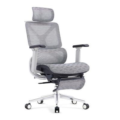 China China Computer Furniture Designer Swivel Adjustable Comfortable Executive Office Chair Ergonomic Mesh (Size) for sale