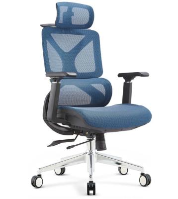 China Hot Sale Modern Executive Ergonomic Black Mid-Back Mesh Office Computer Desk Chair Swivel Price (Height) Adjustable for sale