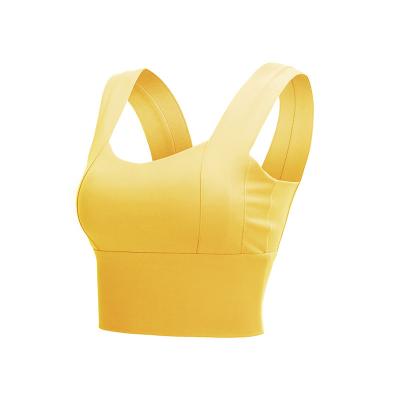 China Breathable Sexy Naked Sexy Gym Set Top Tank Ladies Underwear Crop Fitness Panties Sports Bra Women Yoga Bra Short Wear for sale