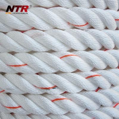 China PET/PA/PP/PE As Request Braided 12 Strand Polypropylene Marine Boat Rope Ladder for sale