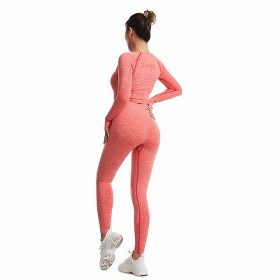 China High-waisted long sleeve breathable tight-fitting hip-lifting yoga pants for fitness, border pants yoga clothes for sale