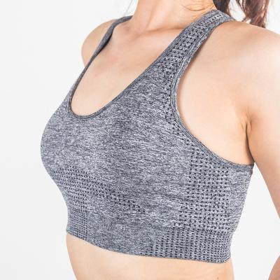 China Breathable Outdoor Polyamide 3-Layer Sports Bra Yoga Suit Sports Bra Underwear Nylon Bra for sale