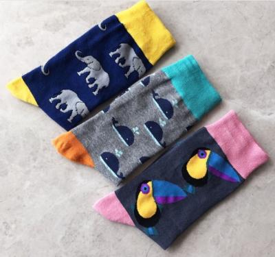 China Antibacterial Custom Mens Cool Colorful Cotton Socks Casual Crew Dress Socks Gift Package for sale