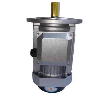 China Drip-proof Extended Spindle Motor 0.37KW Motor 1450rpm Special Custom Motor for sale