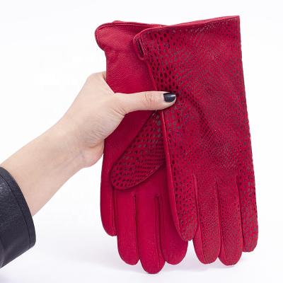 China Simple fashion embossed snake grain genuine leather gloves for women outdoor riding leather gloves for sale