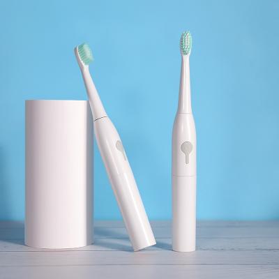 China Good Quality Electric Toothbrush Battery Operated Sonic Electric Toothbrush for sale