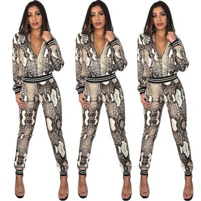 China 2020 Newest Zipper Anti-Static Long Sleeve Clothes Set Two Piece Python Printed Outfits Winter Clothes For Lady for sale